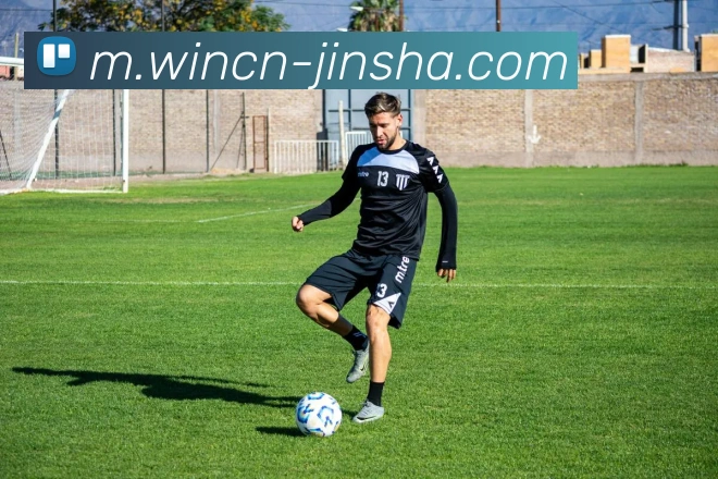 金沙国际平台生态图