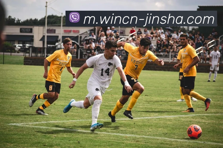 辅助工具 辅助工具